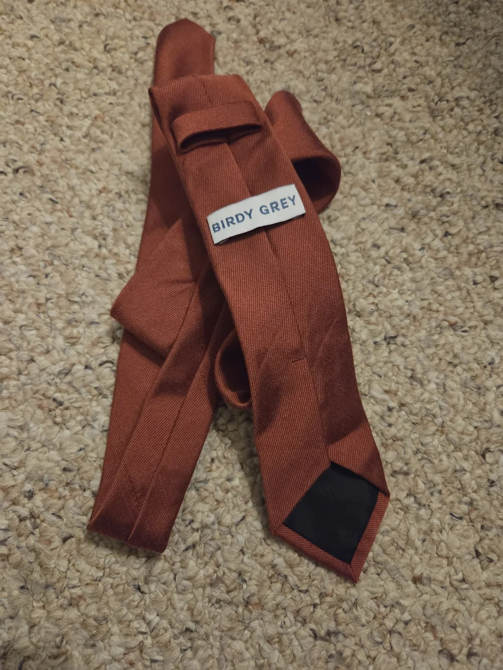 Birdy Grey Men's Tie In Spice